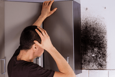 mould-plumbing-issue-the-local-plumber