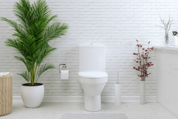 Toilet Replacement & Installation - Everything You Need To Know