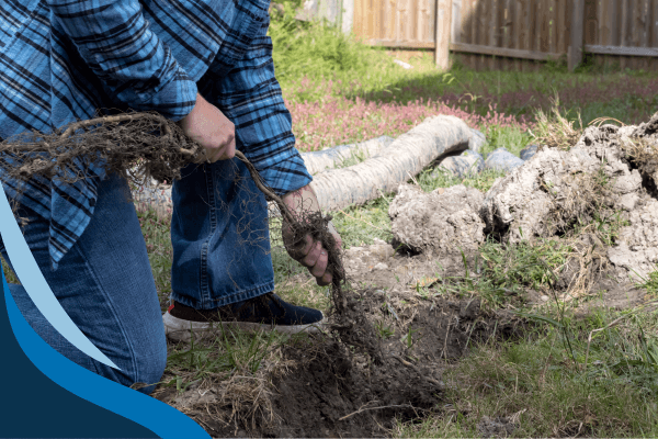 Garden Drainage-the-local-plumber-melbourne